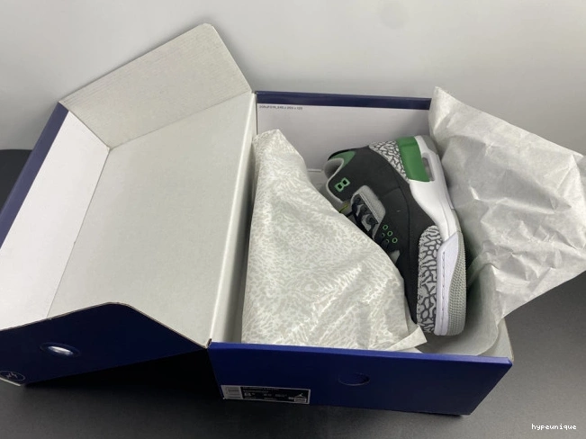 HYPE 3 Jordan Pine Green Air CT8532-030 0821